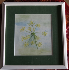 Fleur de fenouil