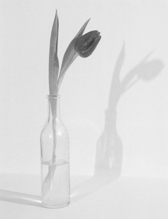 Fleur