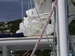 Voiles affal&eacute;es d`un catamaran