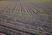 Culture au printemps