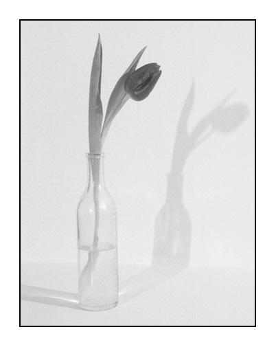 Transparence by Jacques Vandercruysse www.jacques-vandercruysse.com