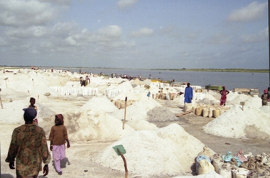 S&eacute;n&eacute;gal
