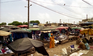 S&eacute;n&eacute;gal