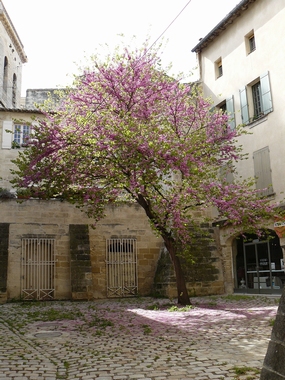 Uzes 03