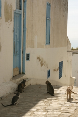 Tunisie 2005