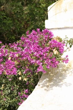 Tunisie 2005