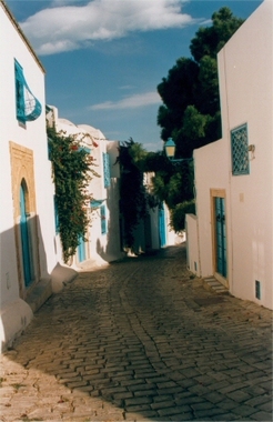 Paysage