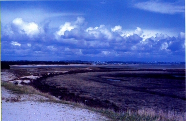 Paysage