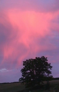 Paysage