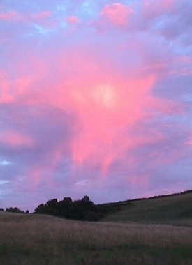 Paysage