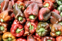March&eacute; d`Uz&egrave;s
