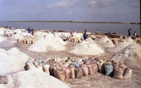 S&eacute;n&eacute;gal