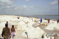 S&eacute;n&eacute;gal
