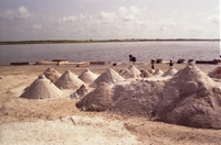 S&eacute;n&eacute;gal