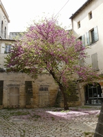 Uzes 03
