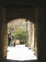 Uz&egrave;s 09