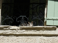 Uz&egrave;s 19