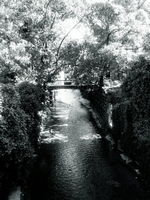 Paysage