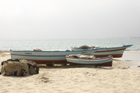 Tunisie 2005