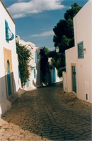 Paysage