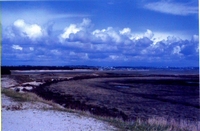 Paysage