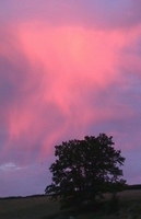 Paysage
