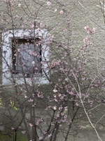 Paysage