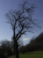 Paysage
