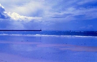 Paysage