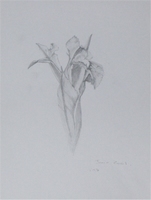 Fleur en noir et blanc