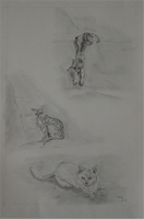 3 Chats