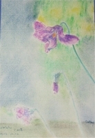 Fleurs 01