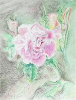 Fleurs 002