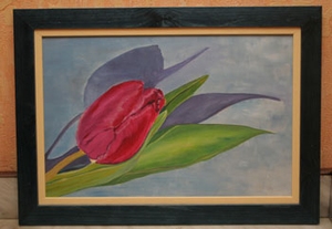 Tulipe et son ombre