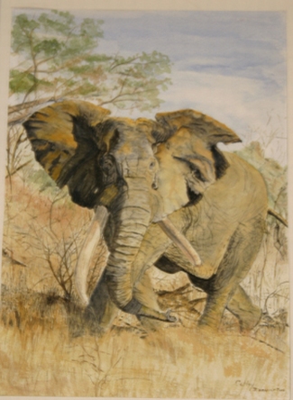 Elephant