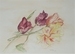 Fleur 03