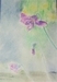 Fleurs 01