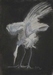 La Grue