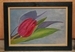 Tulipe et son ombre