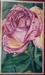 La Rose
